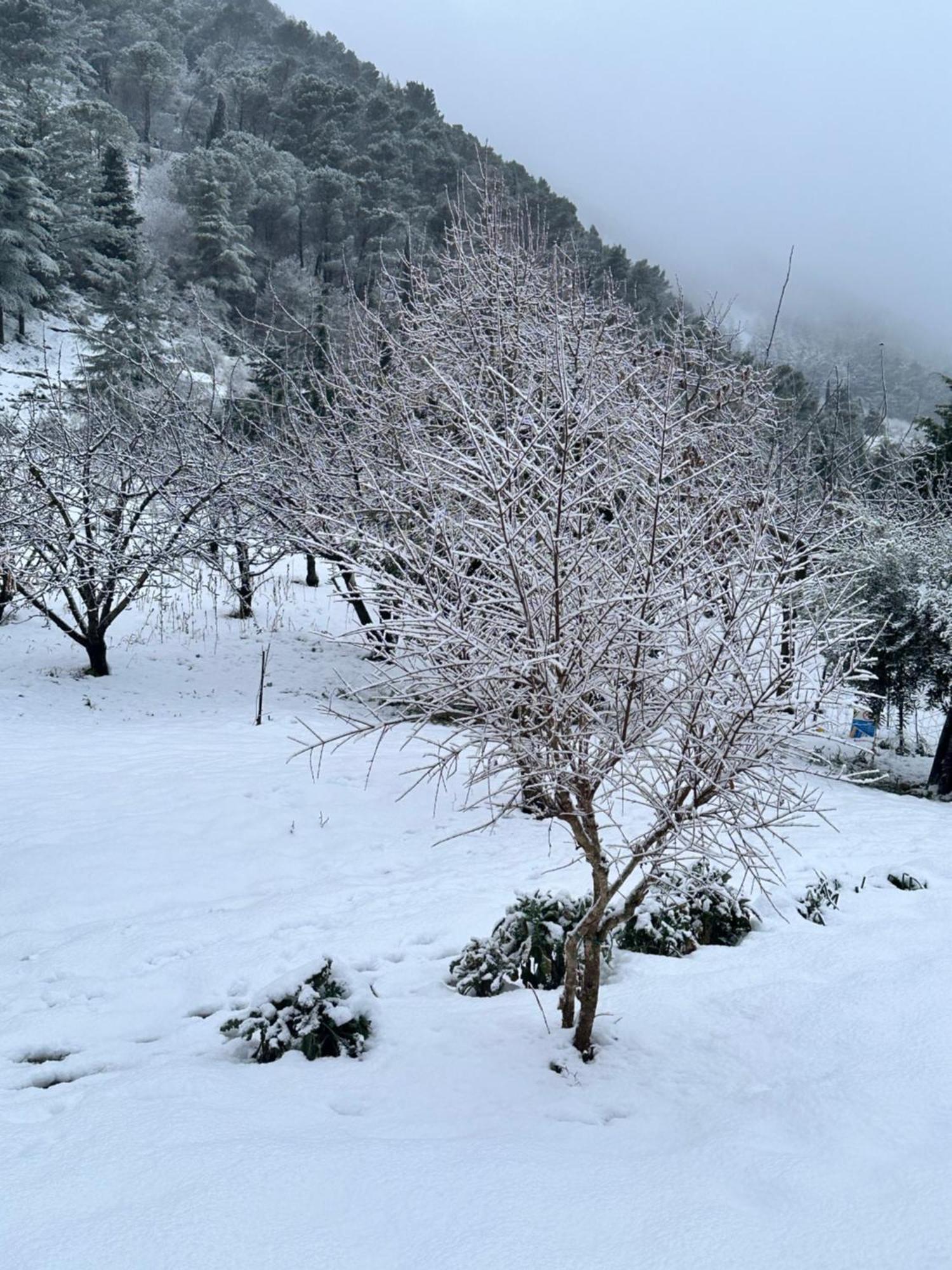 Agriturismo Serra Moneta Santo Stefano Quisquina Esterno foto